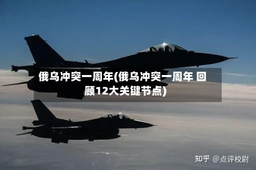 俄乌冲突一周年(俄乌冲突一周年 回顾12大关键节点)-第2张图片