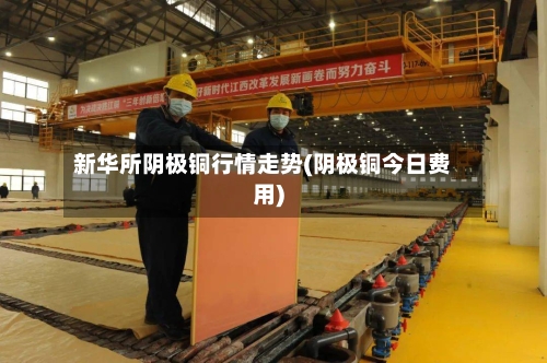 新华所阴极铜行情走势(阴极铜今日费用)-第2张图片
