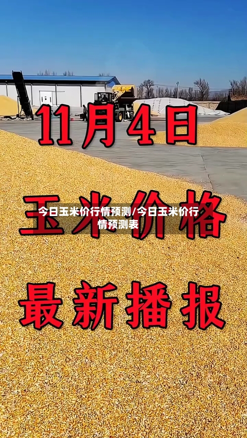 今日玉米价行情预测/今日玉米价行情预测表