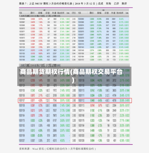 商品期货期权行情(商品期权交易平台)