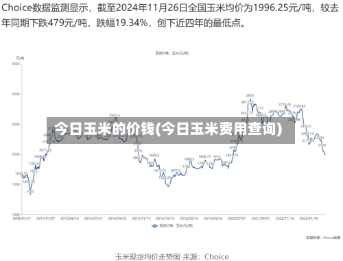 今日玉米的价钱(今日玉米费用查询)