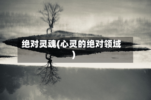 绝对灵魂(心灵的绝对领域)-第2张图片