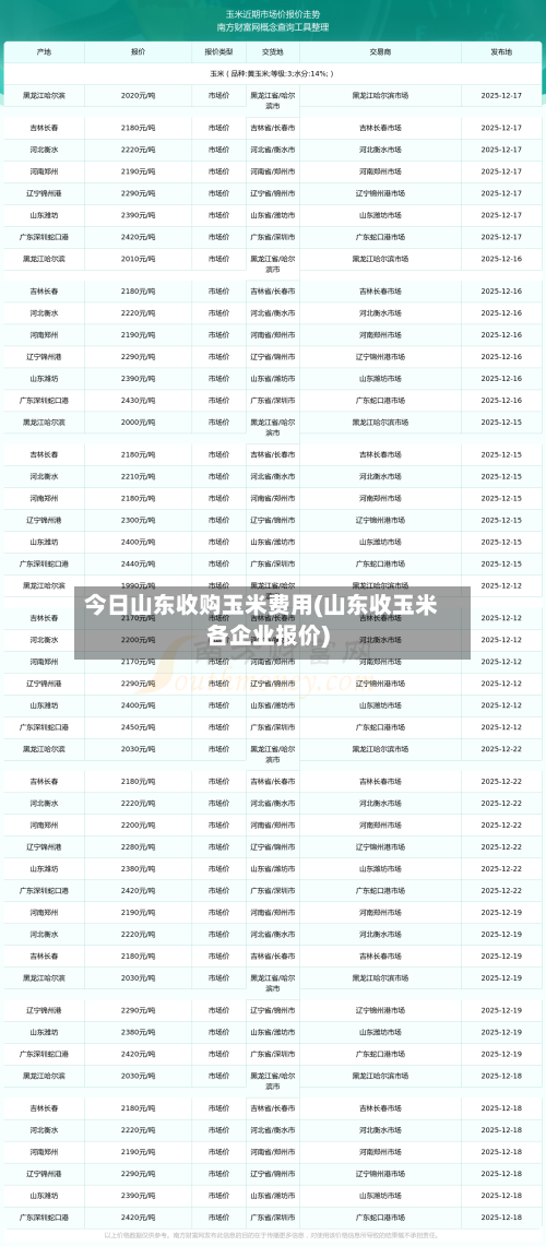 今日山东收购玉米费用(山东收玉米各企业报价)-第3张图片