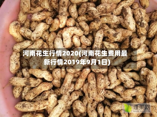 河南花生行情2020(河南花生费用最新行情2019年9月1日)