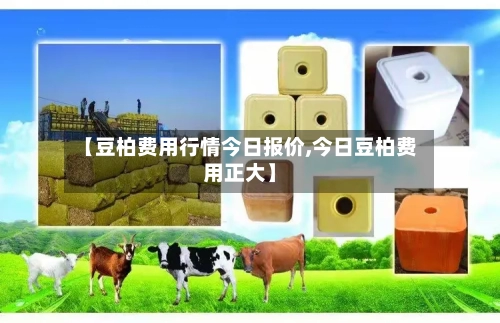 【豆柏费用行情今日报价,今日豆柏费用正大】