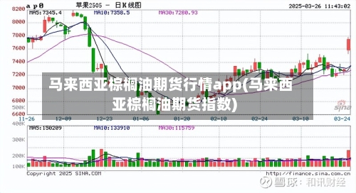 马来西亚棕榈油期货行情app(马来西亚棕榈油期货指数)-第2张图片