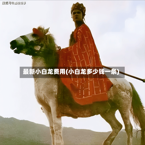 最新小白龙费用(小白龙多少钱一条)-第3张图片