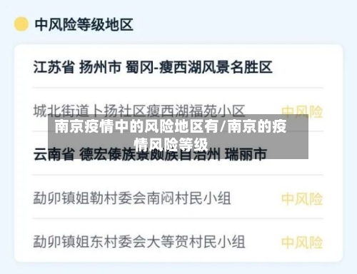 南京疫情中的风险地区有/南京的疫情风险等级-第2张图片