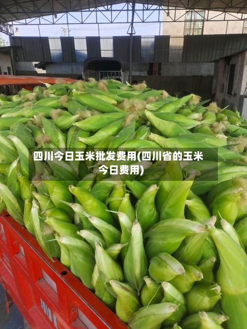 四川今日玉米批发费用(四川省的玉米今日费用)-第2张图片