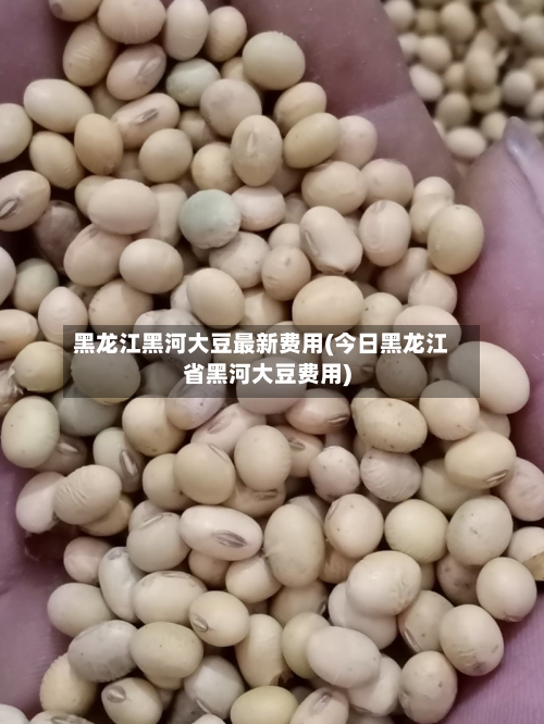 黑龙江黑河大豆最新费用(今日黑龙江省黑河大豆费用)