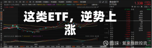 这类ETF，逆势上涨-第2张图片