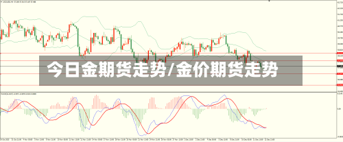 今日金期货走势/金价期货走势