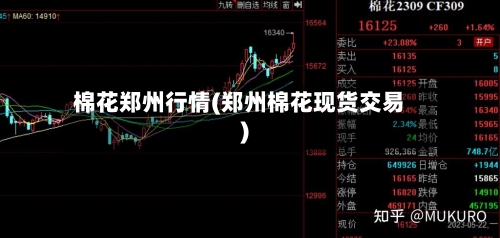 棉花郑州行情(郑州棉花现货交易)