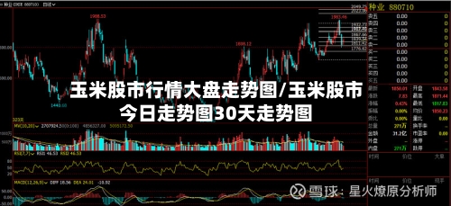 玉米股市行情大盘走势图/玉米股市今日走势图30天走势图-第2张图片