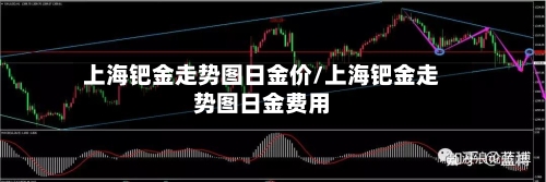 上海钯金走势图日金价/上海钯金走势图日金费用