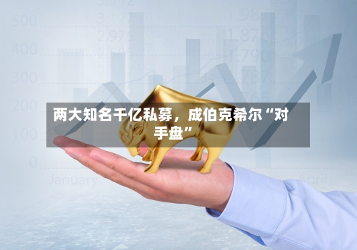 两大知名千亿私募，成伯克希尔“对手盘”-第3张图片