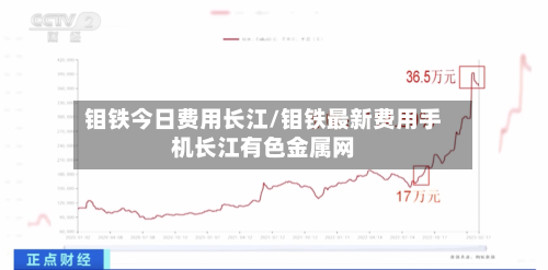 钼铁今日费用长江/钼铁最新费用手机长江有色金属网-第2张图片