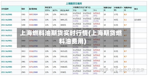 上海燃料油期货实时行情(上海期货燃料油费用)-第2张图片