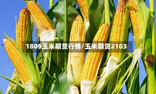 1809玉米期货行情/玉米期货2103-第2张图片