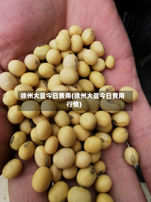 徐州大豆今日费用(徐州大豆今日费用行情)-第2张图片